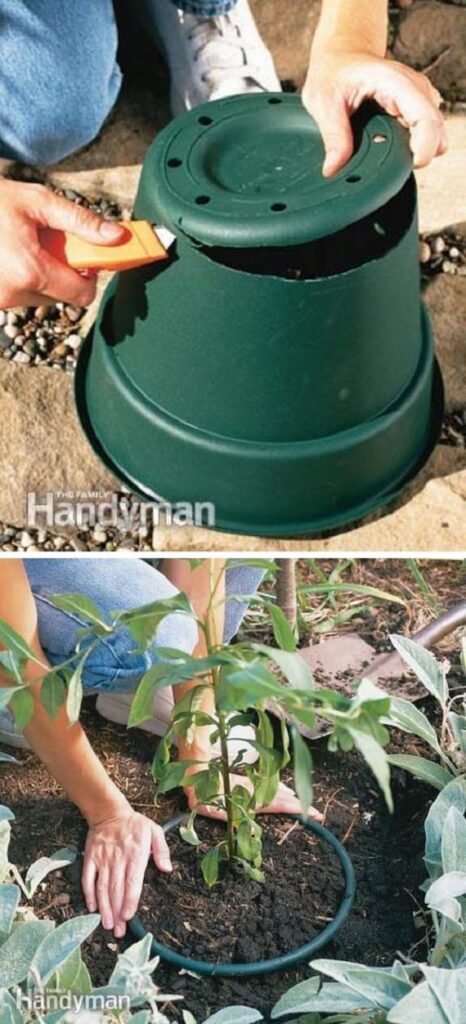 22 Genius Gardening Hacks That You'll Be Glad to Know