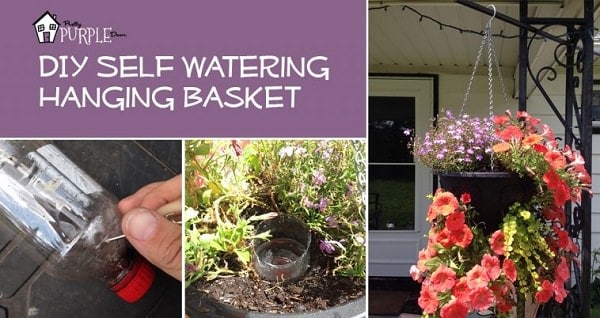 22 Genius Gardening Hacks That You'll Be Glad to Know