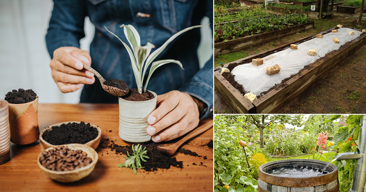 10 Hacks Master Gardeners Would Never Tell You