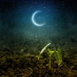 How To Garden With The Moon