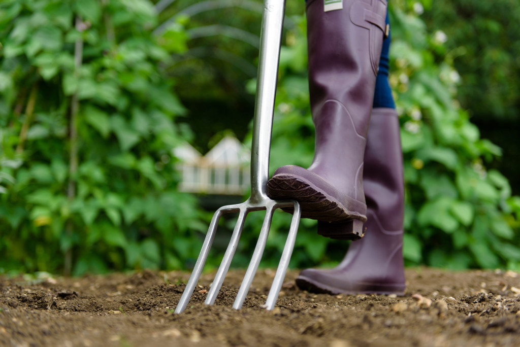 How to prepare your borders for winter