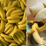 9 Hacks To Keep Bananas Fresh & Flavorful