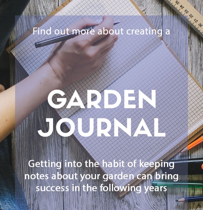 How to Start a Garden Journal