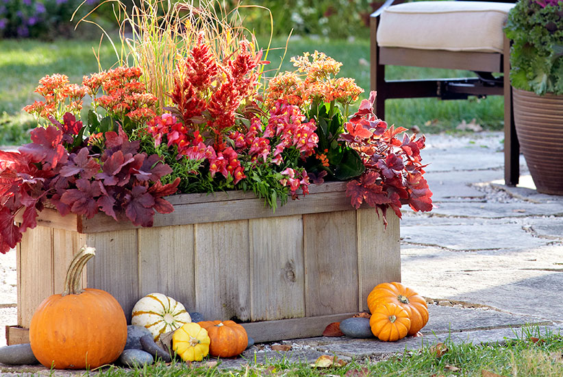 What To Do In The Garden In October