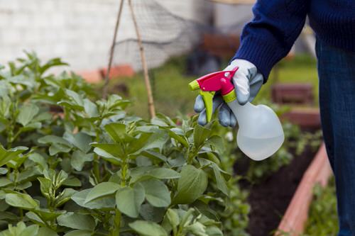 10 Hacks Master Gardeners Would Never Tell You