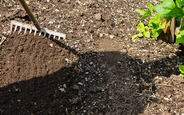 Why You Should Try The No-Dig Gardening Method