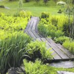 How to Create a Bog Garden