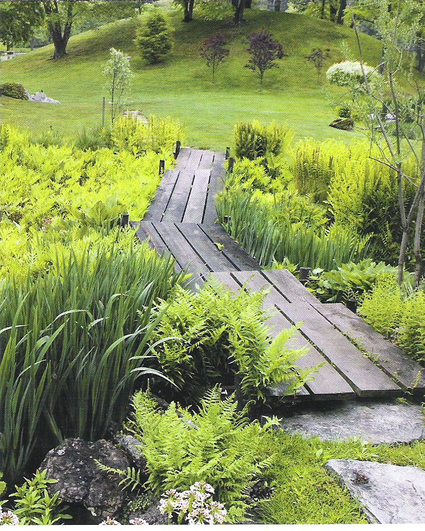 How to Create a Bog Garden