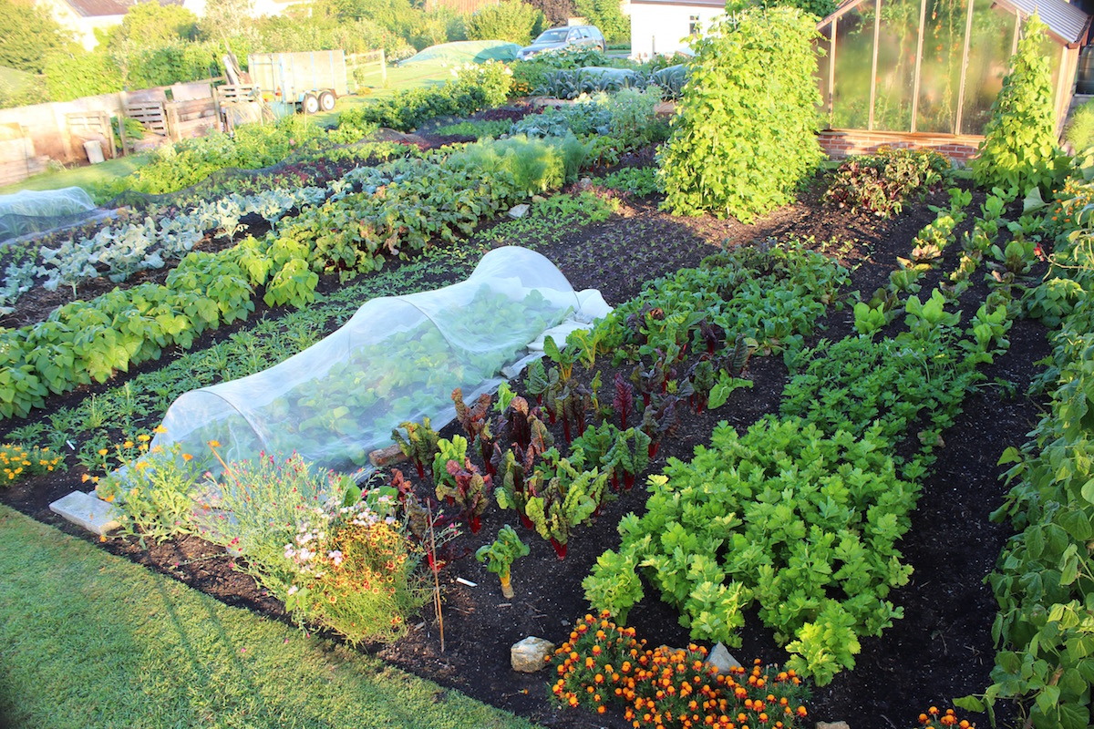 Why You Should Try The No-Dig Gardening Method