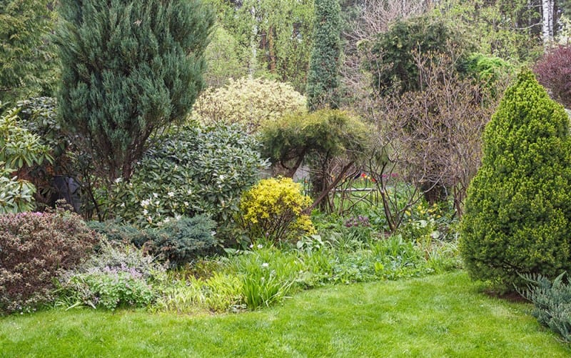 How to prepare your borders for winter