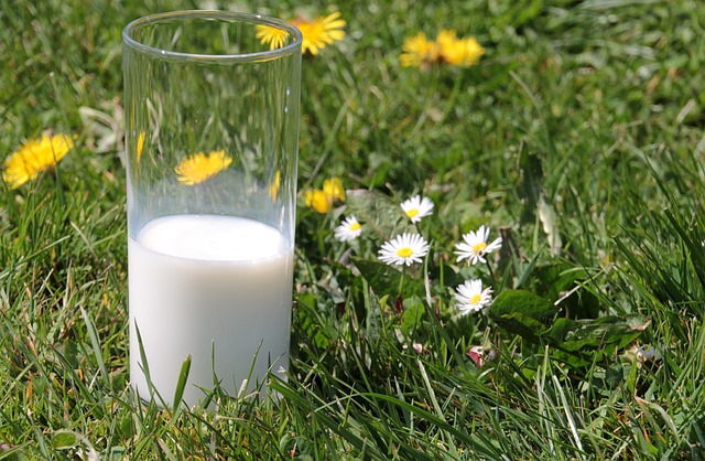 7 Effective Milk Uses In The Garden