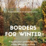 How to prepare your borders for winter