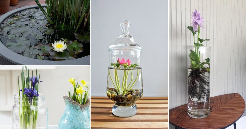 10 Flowers You Can Grow In Vases in Water