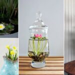 10 Flowers You Can Grow In Vases in Water