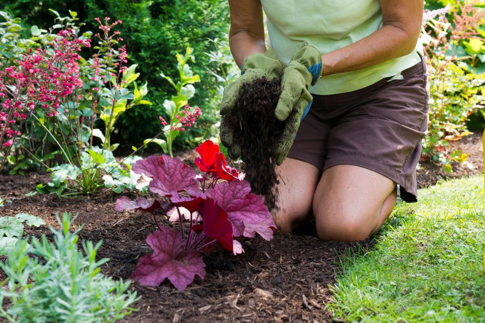 16 Tips and Tricks For Beginners Vegetable Gardening