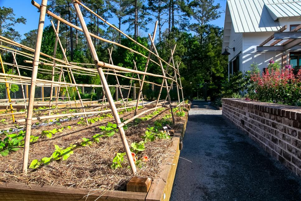 16 Tips and Tricks For Beginners Vegetable Gardening