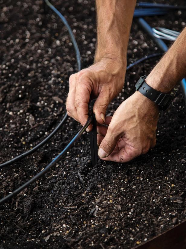 16 Tips and Tricks For Beginners Vegetable Gardening