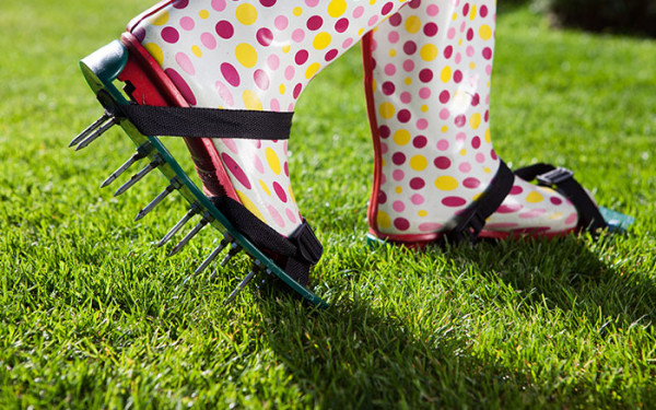 Best Ways to Care For Your Lawn and Garden for Fall