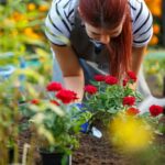 8 Top Tips for Balcony Gardening