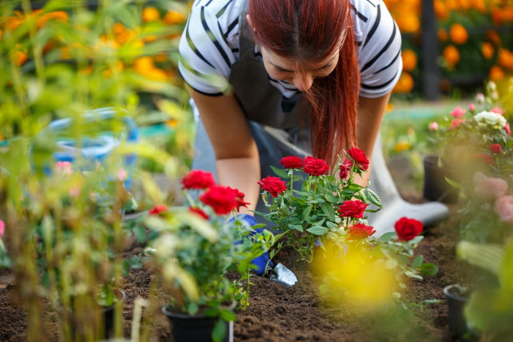 8 Top Tips for Balcony Gardening