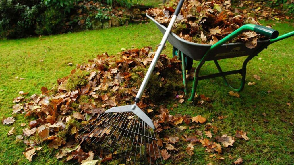 Cleaning Up the Garden for Winter 