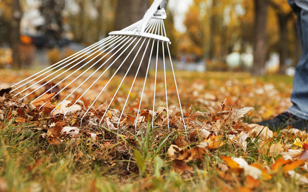 Best Ways to Care For Your Lawn and Garden for Fall