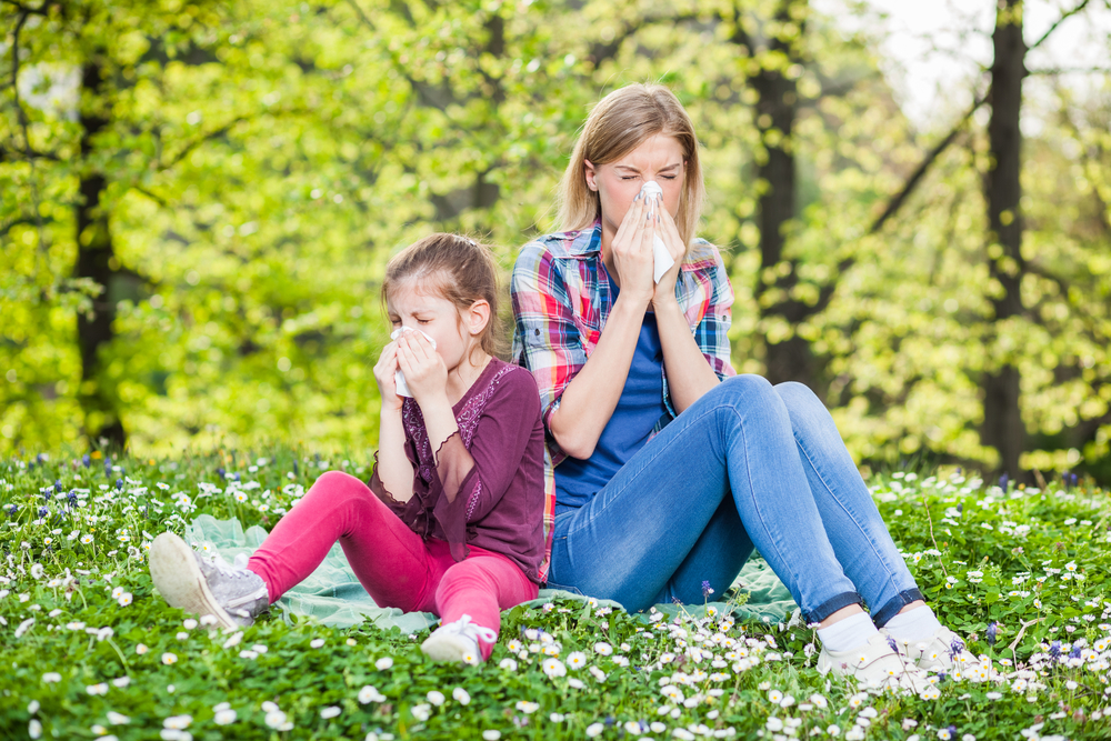 Anti-Allergy Gardens : How To Make An Allergy Friendly Garden