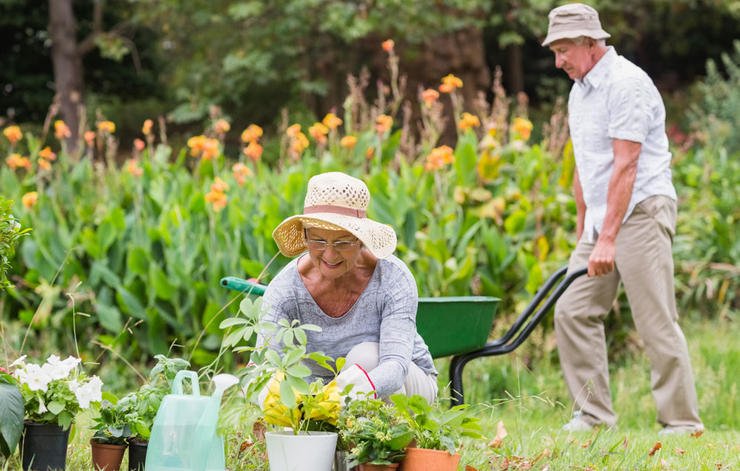 Grandparents Gardening Tips and Tricks That Never Fail