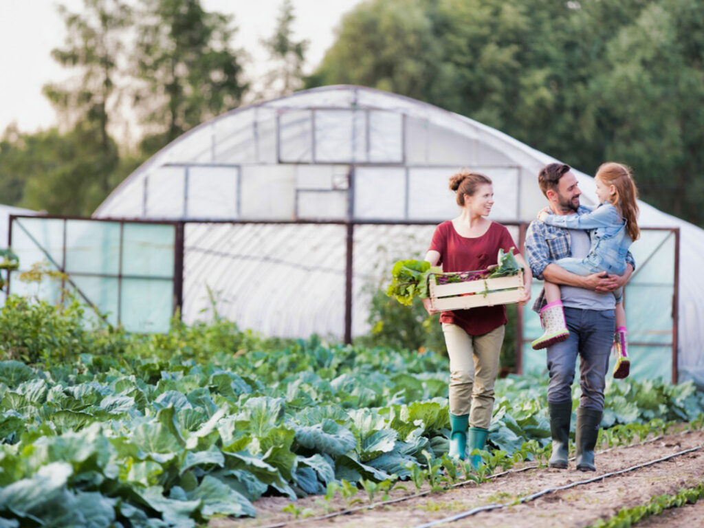 How to Start a Small  Farm, Your Complete Guide to Success