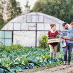 How to Start a Small Farm, Your Complete Guide to Success