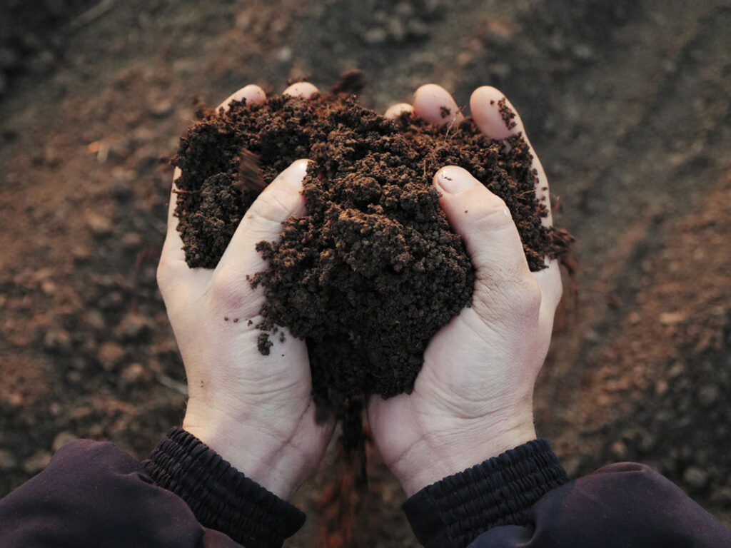 Sustainable Gardening Tips To Keep Your Garden Green