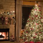 Best Creative Ways to Reuse Christmas Trees