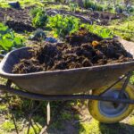 How to Improve Garden Soil With Amendments