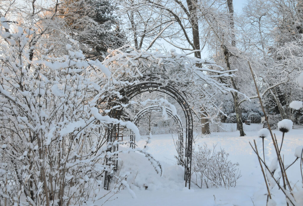 Should we fear the snow in the garden?