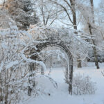 Should we fear the snow in the garden?