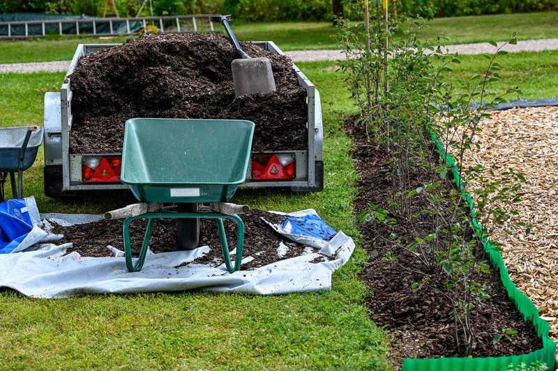 How To Use a Mulch in The Vegetable Garden in Winter?