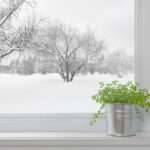 How to Make an Indoor Winter Garden for your Plants