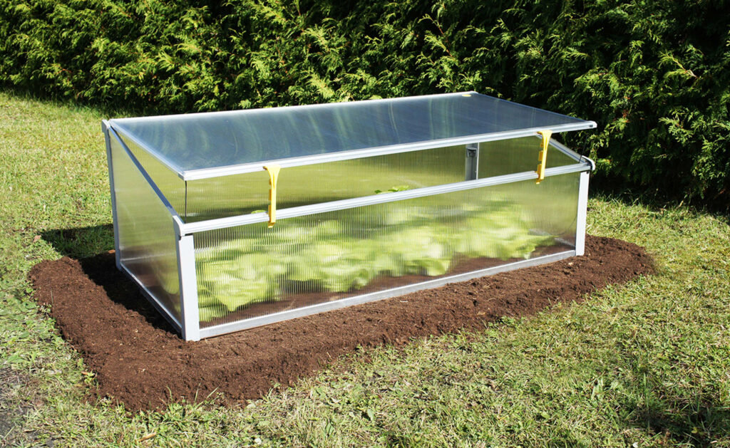 How To Use a Cold Frame to Grow Your Veggie This Winter