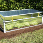 How To Use a Cold Frame to Grow Your Veggie This Winter