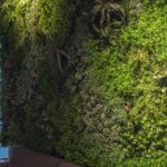 Great Ideas for Creating a Green Wall Indoors