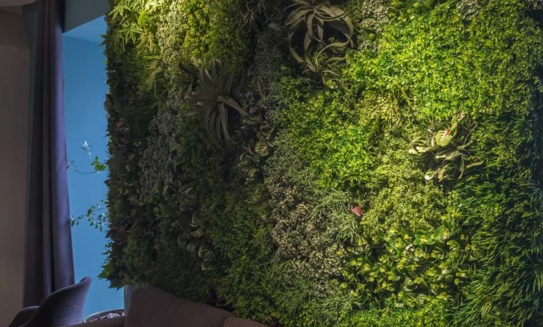 Great Ideas for Creating a Green Wall Indoors