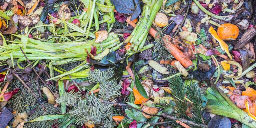 Composting: How Do I Make My Compost?