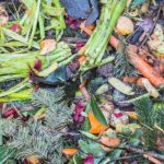 Composting: How Do I Make My Compost?