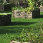 Your Ultimate Guide To Square Foot Gardening