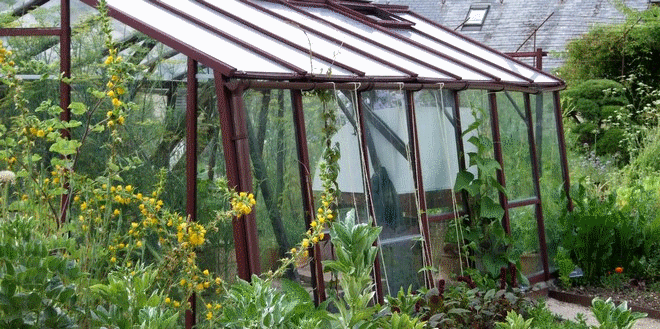 How To Enjoy A Garden Greenhouse All Year Round?