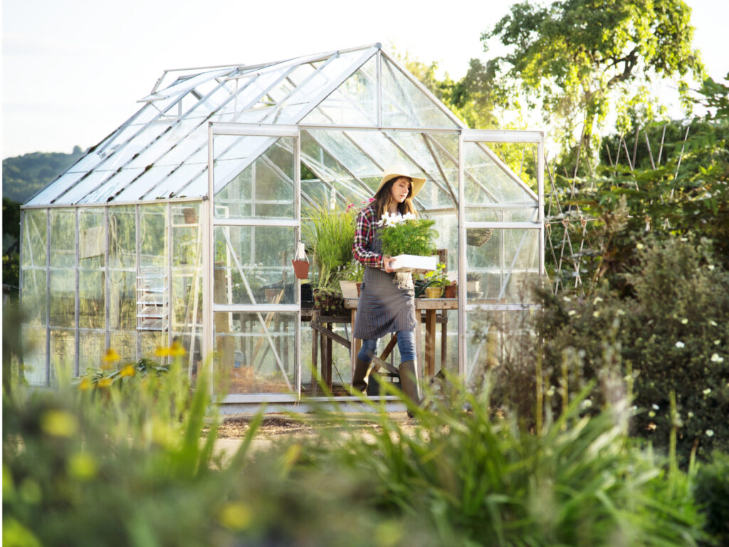 How To Choose and Install The Best Greenhouse