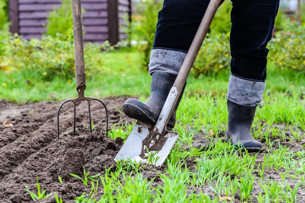 How To Prepare Your Soil for a Garden 