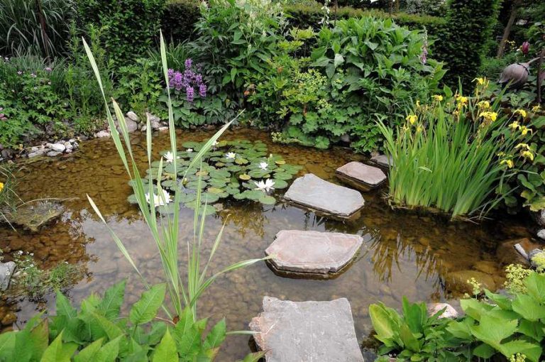 How To Make an Artificial Stream in The Garden?