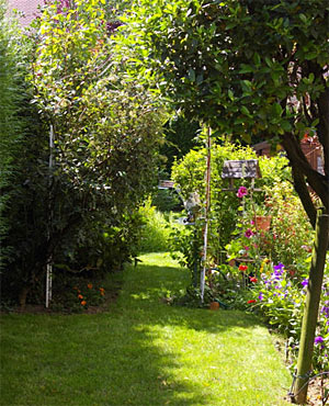 How To Arrange a Small Garden