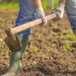 How to Prepare Your Soil for a Garden